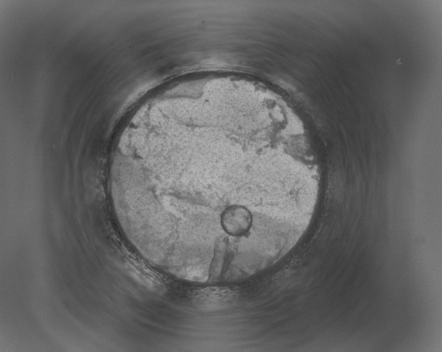 X0000080691314200701121714