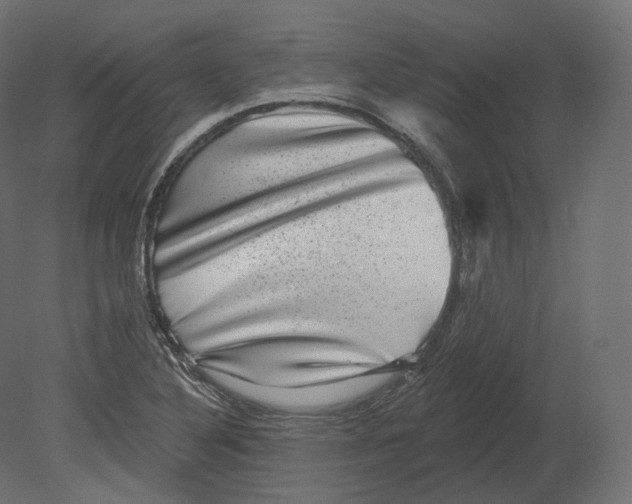 X0000080691316200701121715