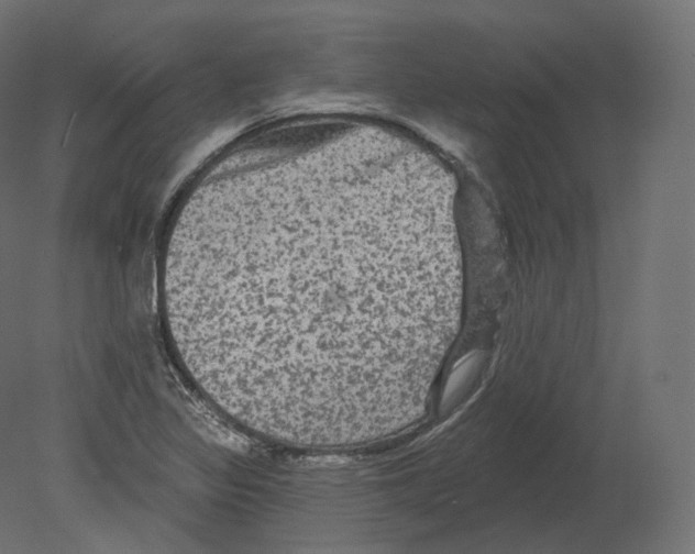 X0000080691317200701121715