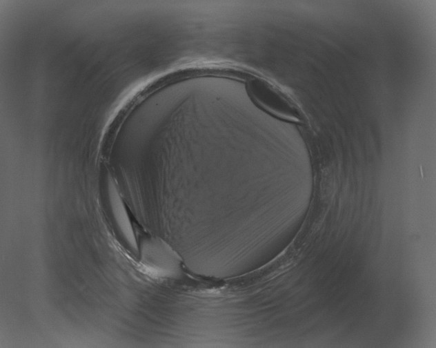 X0000080691319200701121715