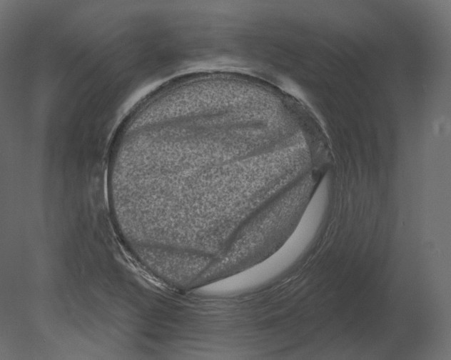 X0000080691320200701121715