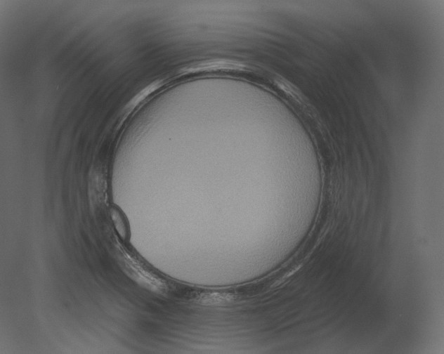 X0000080691321200701121715