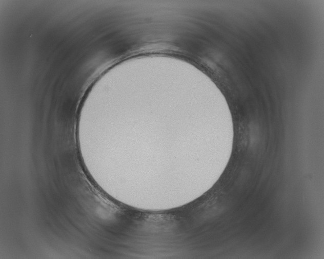 X0000080691322200701121715