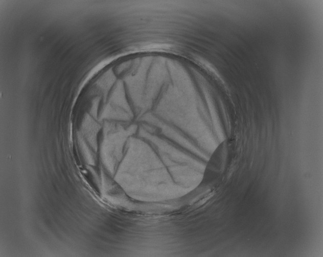 X0000080691324200701121715