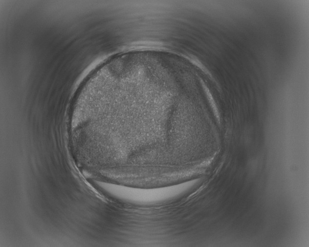 X0000080691325200701121715