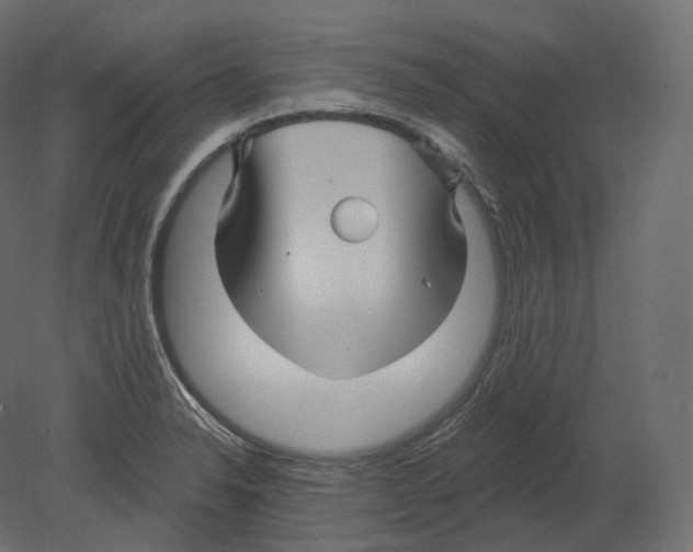 X0000080691326200701121715