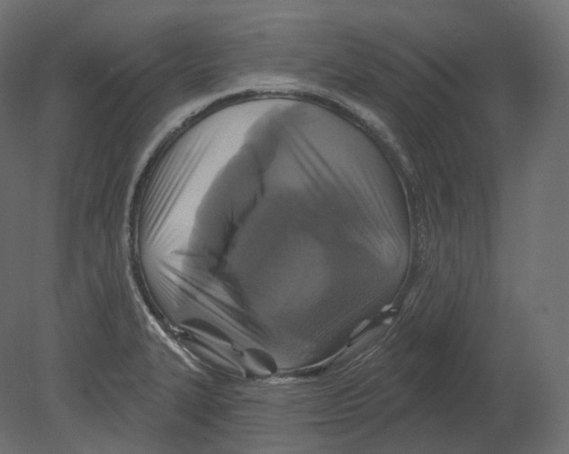 X0000080691327200701121715