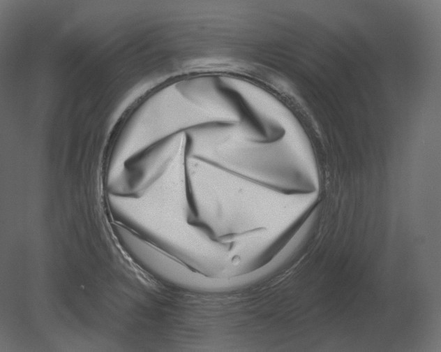 X0000080691328200701121715