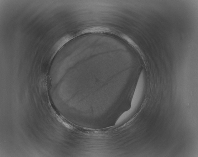 X0000080691329200701121715