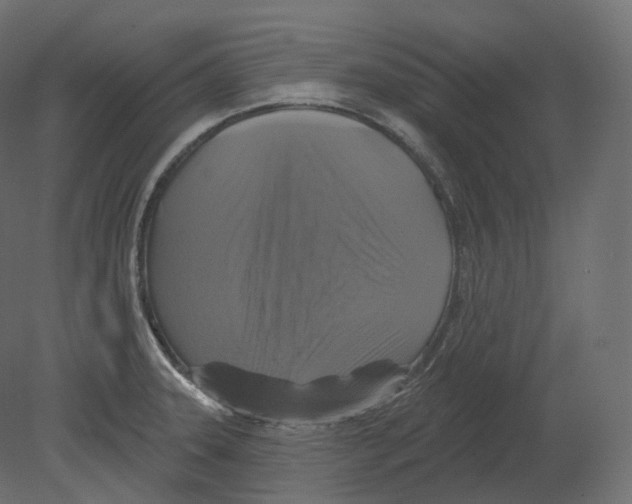 X0000080691331200701121715