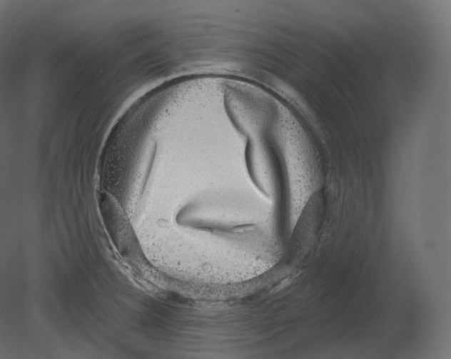 X0000080691332200701121715