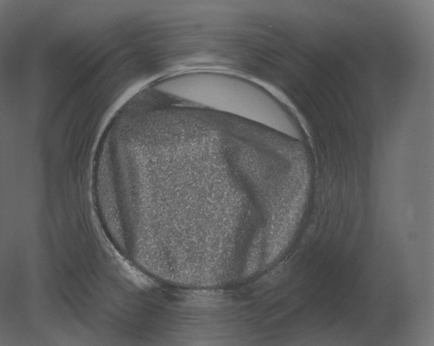 X0000080691333200701121715