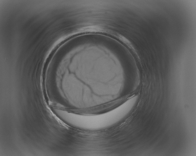 X0000080691334200701121715