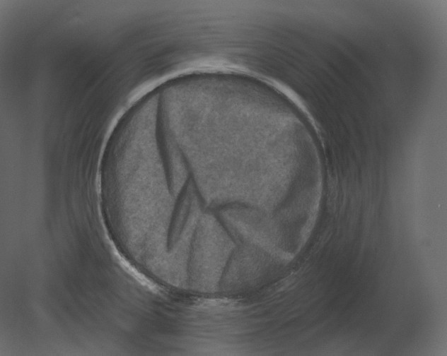 X0000080691335200701121715