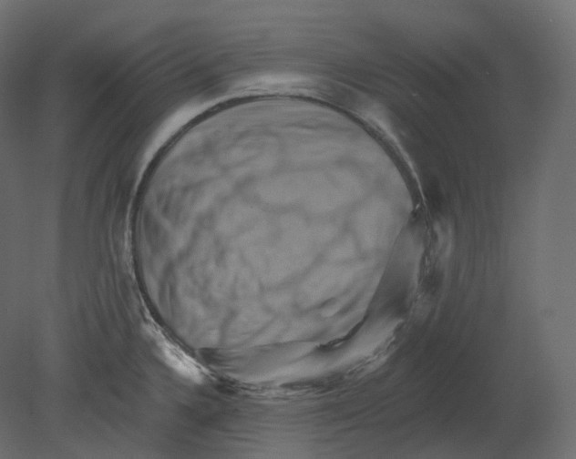 X0000080691336200701121715