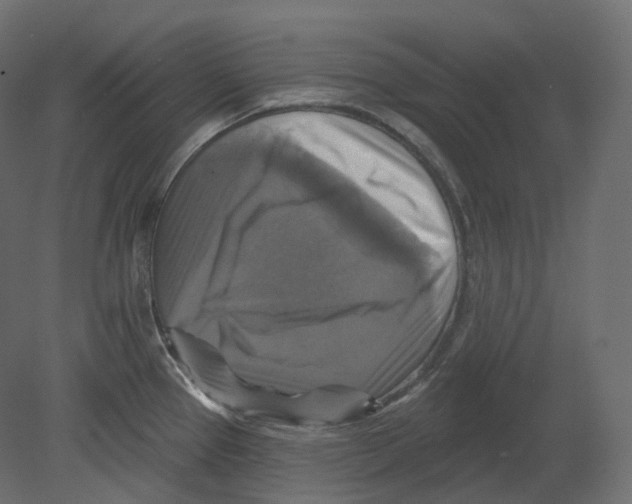 X0000080691337200701121715