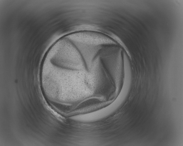 X0000080691339200701121715