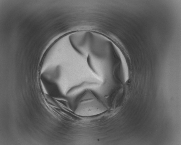 X0000080691340200701121715