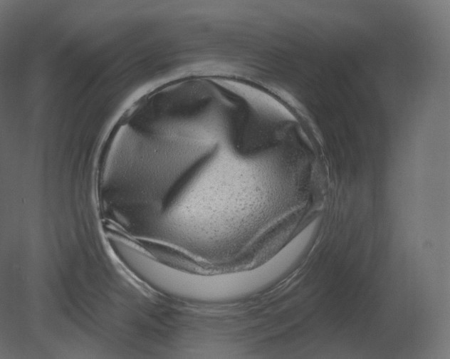 X0000080691342200701121715