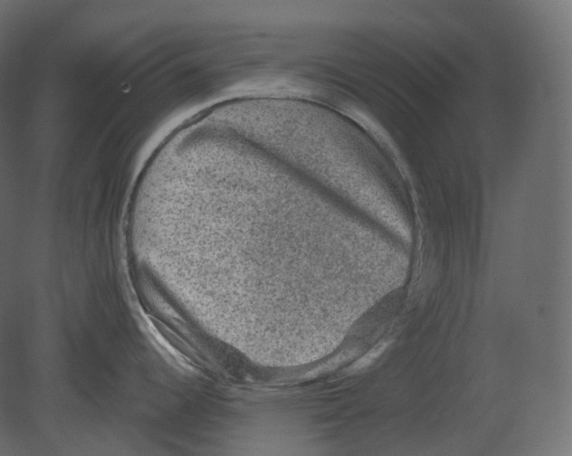 X0000080691344200701121715