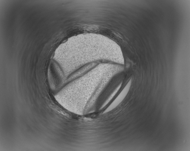 X0000080691345200701121714