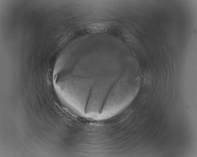 X0000080691346200701121714