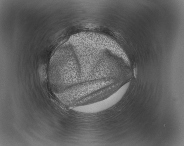 X0000080691347200701121714