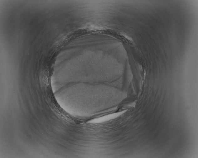 X0000080691348200701121714