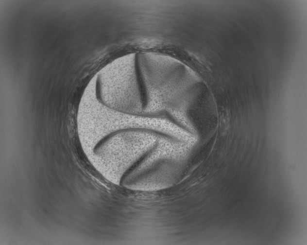 X0000080691349200701121714