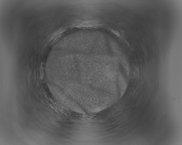 X0000080691350200701121714