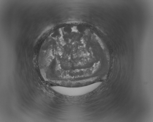 X0000080691351200701121714