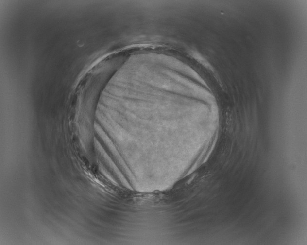 X0000080691352200701121714