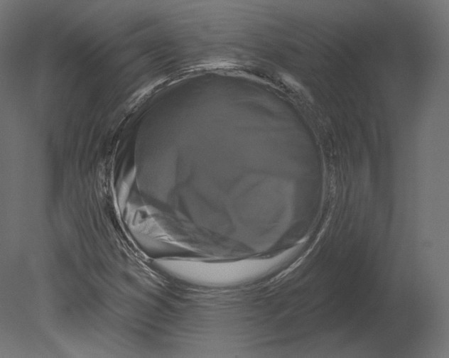 X0000080691353200701121714