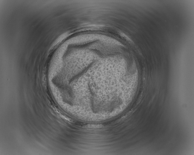 X0000080691354200701121714