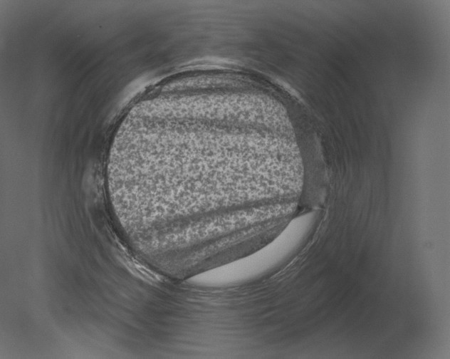 X0000080691355200701121714