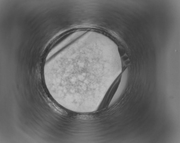 X0000080691356200701121714