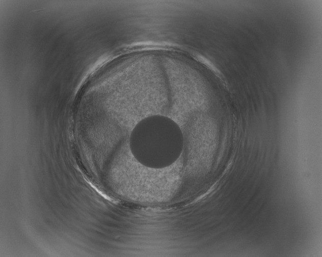 X0000080691357200701121714