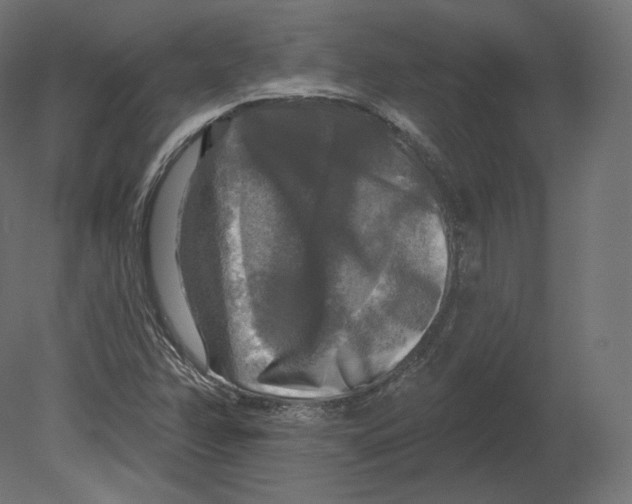 X0000080691358200701121714