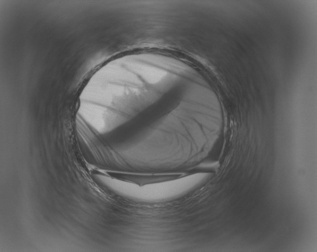 X0000080691359200701121714