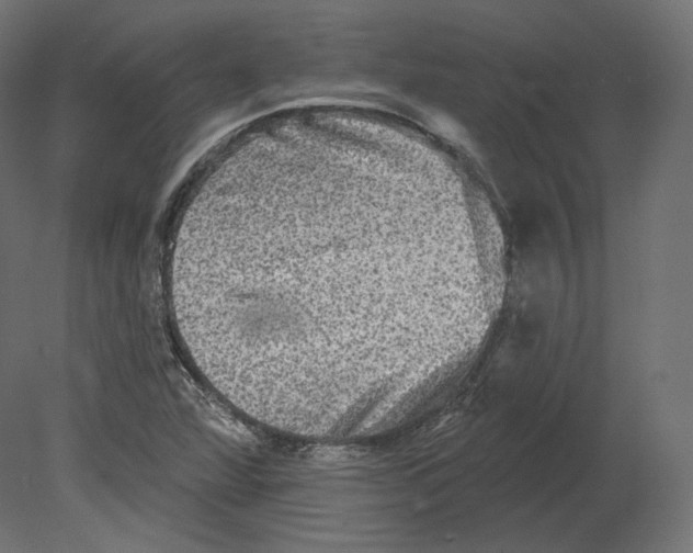 X0000080691360200701121714