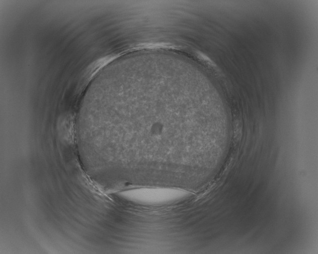 X0000080691361200701121714