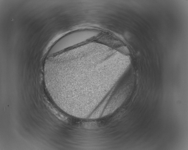 X0000080691363200701121714