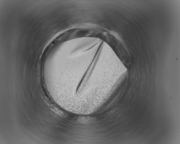 X0000080691364200701121714