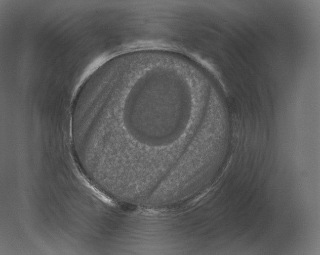 X0000080691365200701121714