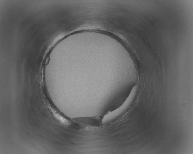 X0000080691366200701121714