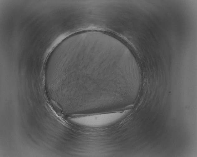 X0000080691367200701121714