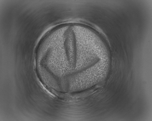 X0000080691368200701121714