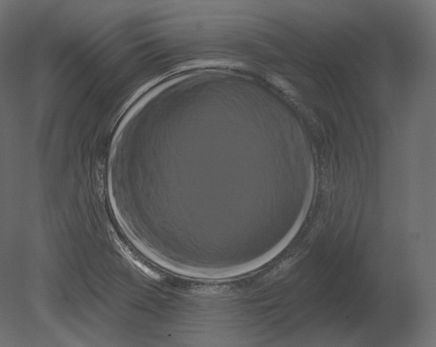 X0000080691369200701121714