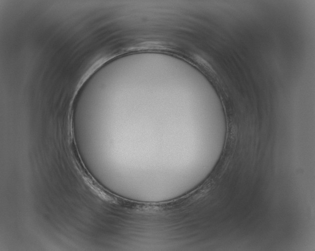 X0000080691370200701121714