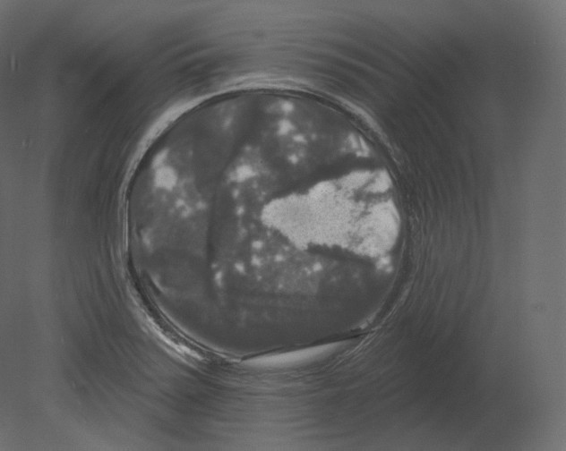 X0000080691371200701121714